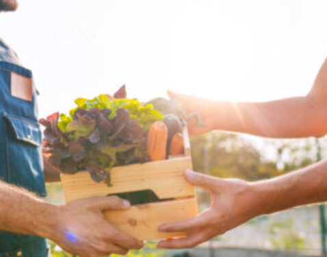 Farmer's Markets
