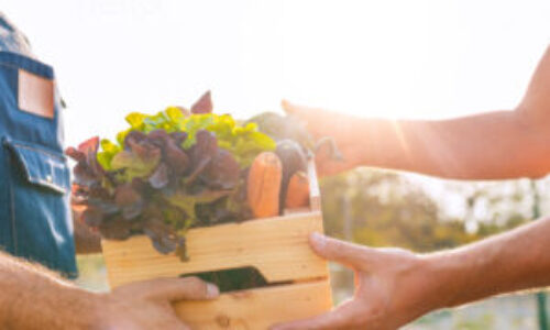Farmer's Markets