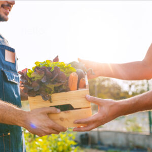 Farmer's Markets