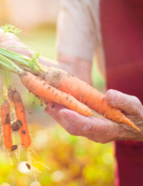 Local Farms